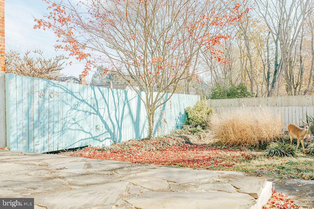 SHEPHERDSTOWN CORPORATION - Residential