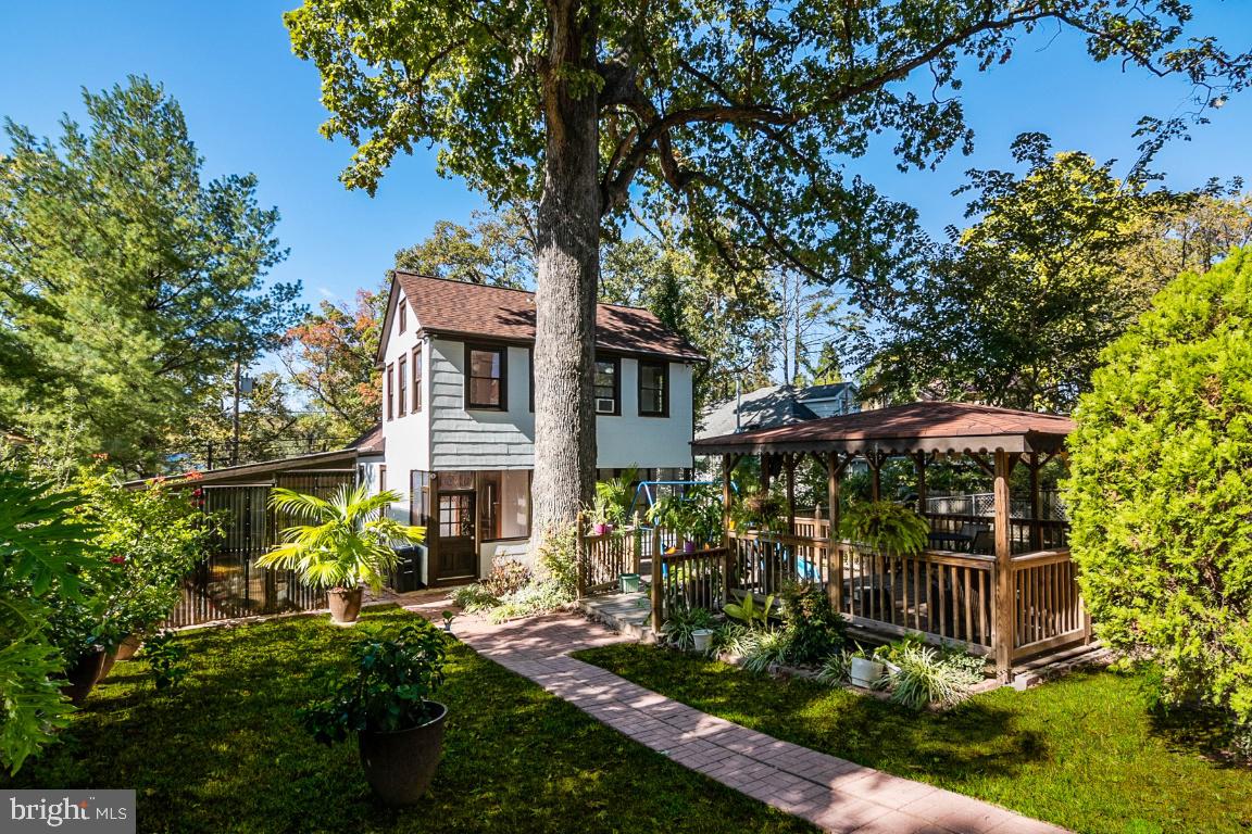 MT RAINIER - Residential