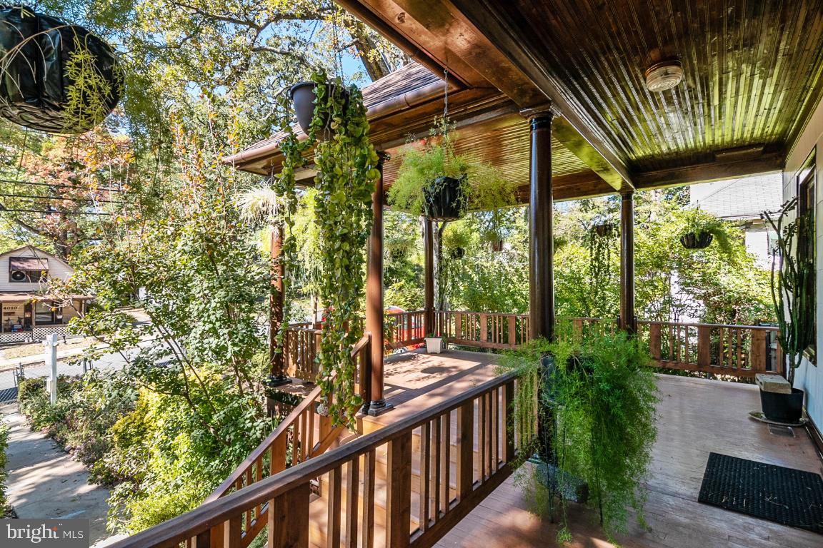 MT RAINIER - Residential