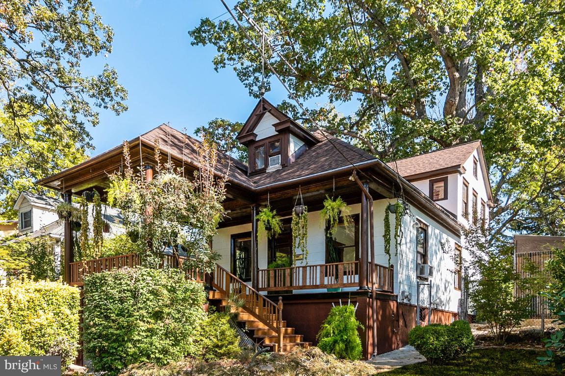 MT RAINIER - Residential