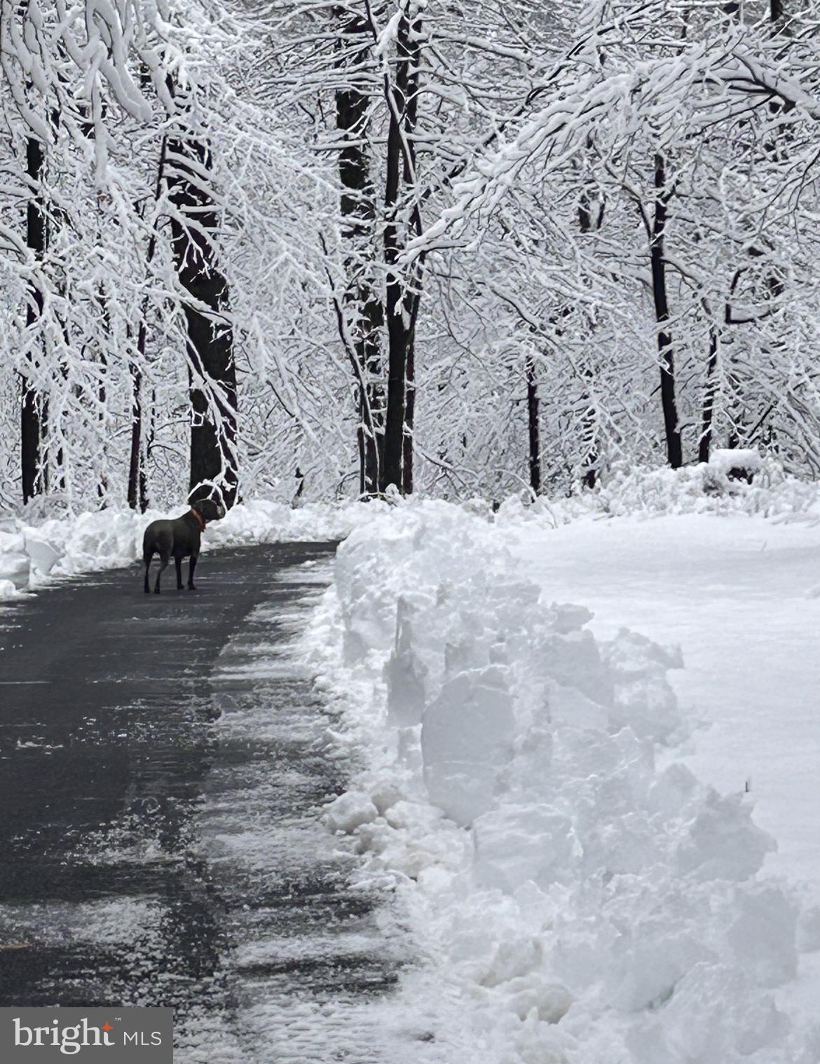 CATOCTIN ACRES - Residential