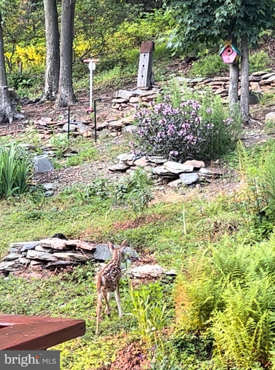 CATOCTIN ACRES - Residential