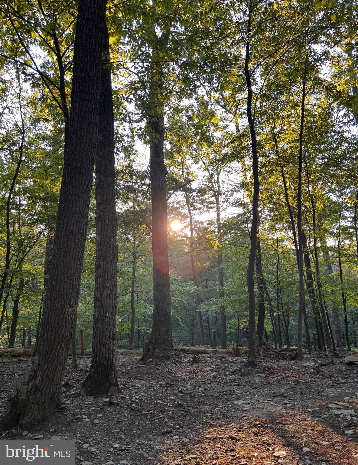 CATOCTIN ACRES - Residential