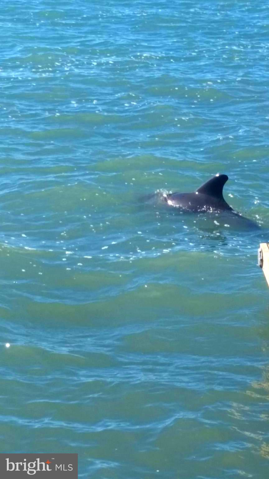 HAMBLETON COVE - Residential