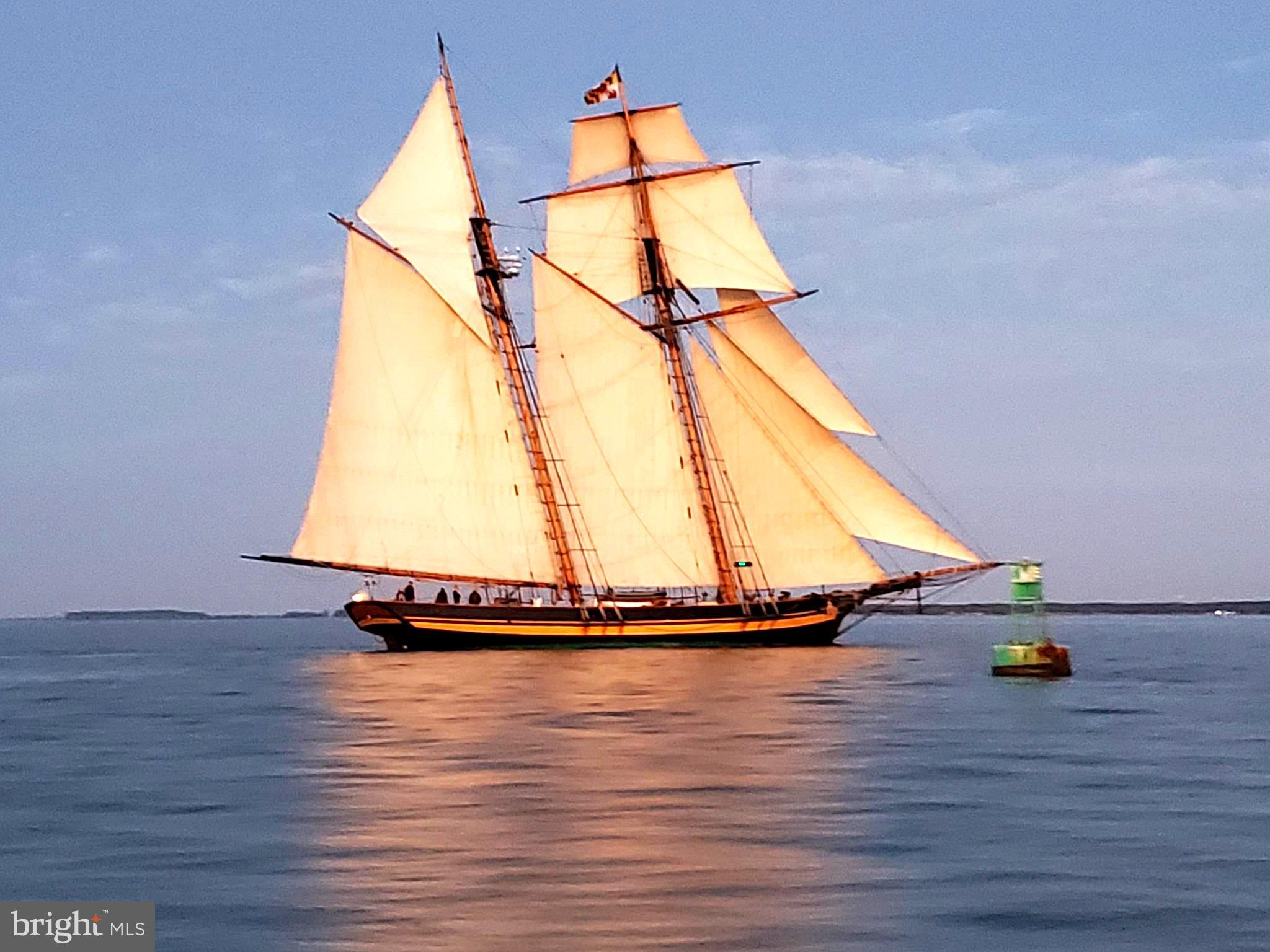 HAMBLETON COVE - Residential