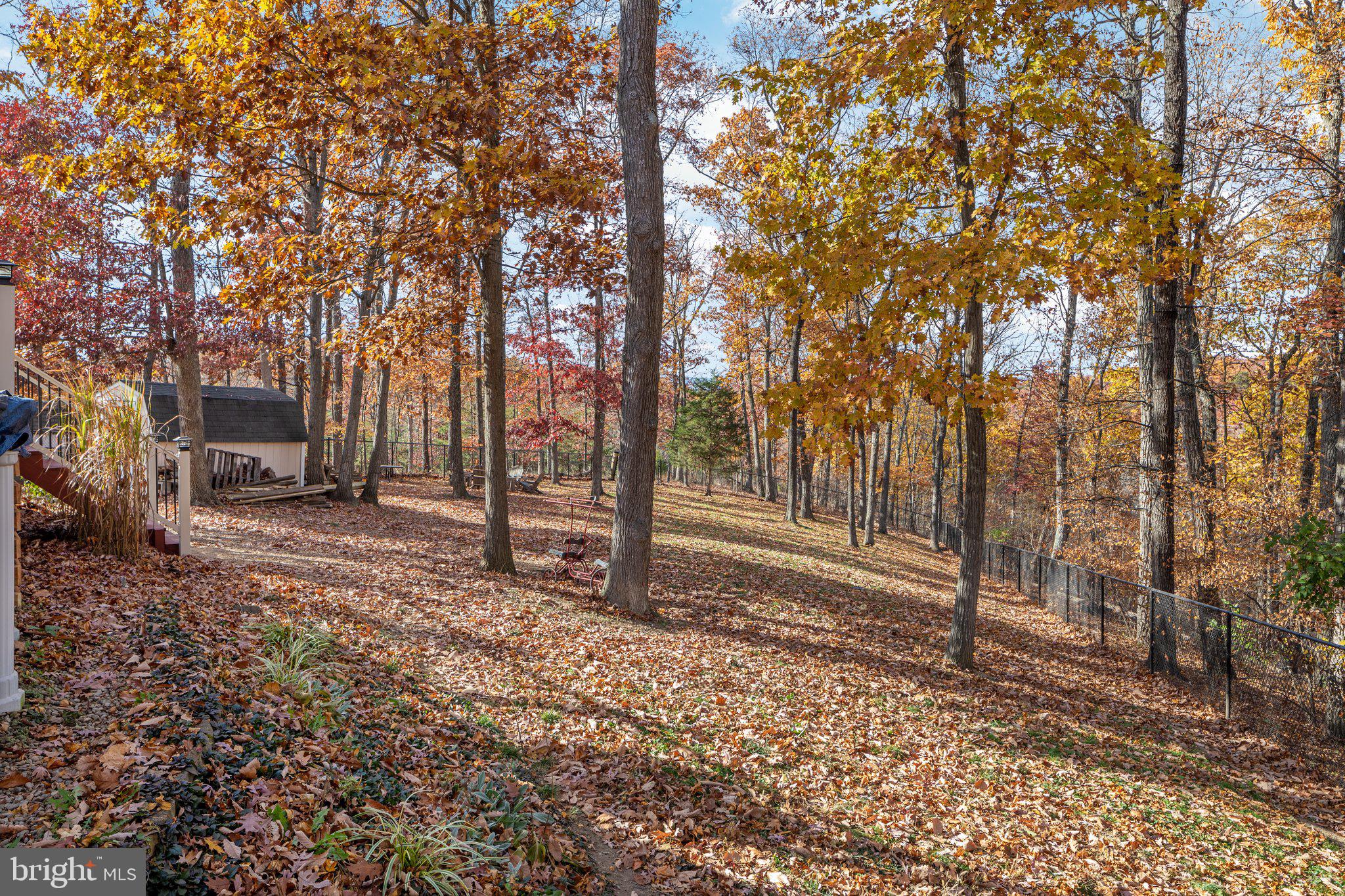 FOREST HEIGHTS - Residential