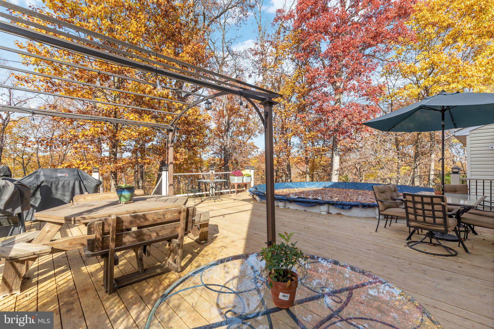 FOREST HEIGHTS - Residential