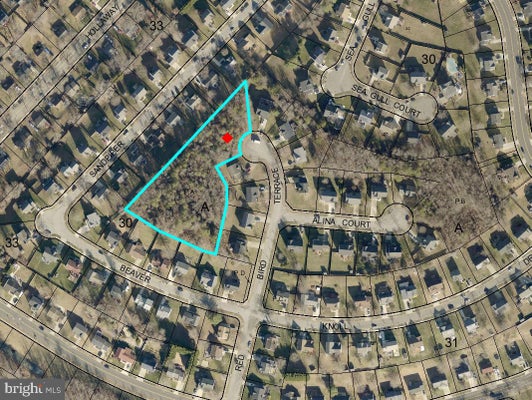 9901 RED BIRD TER, UPPER MARLBORO, MD 20772 - Image e9359ba77f052d5fa87c38e5616b194c/4176652151