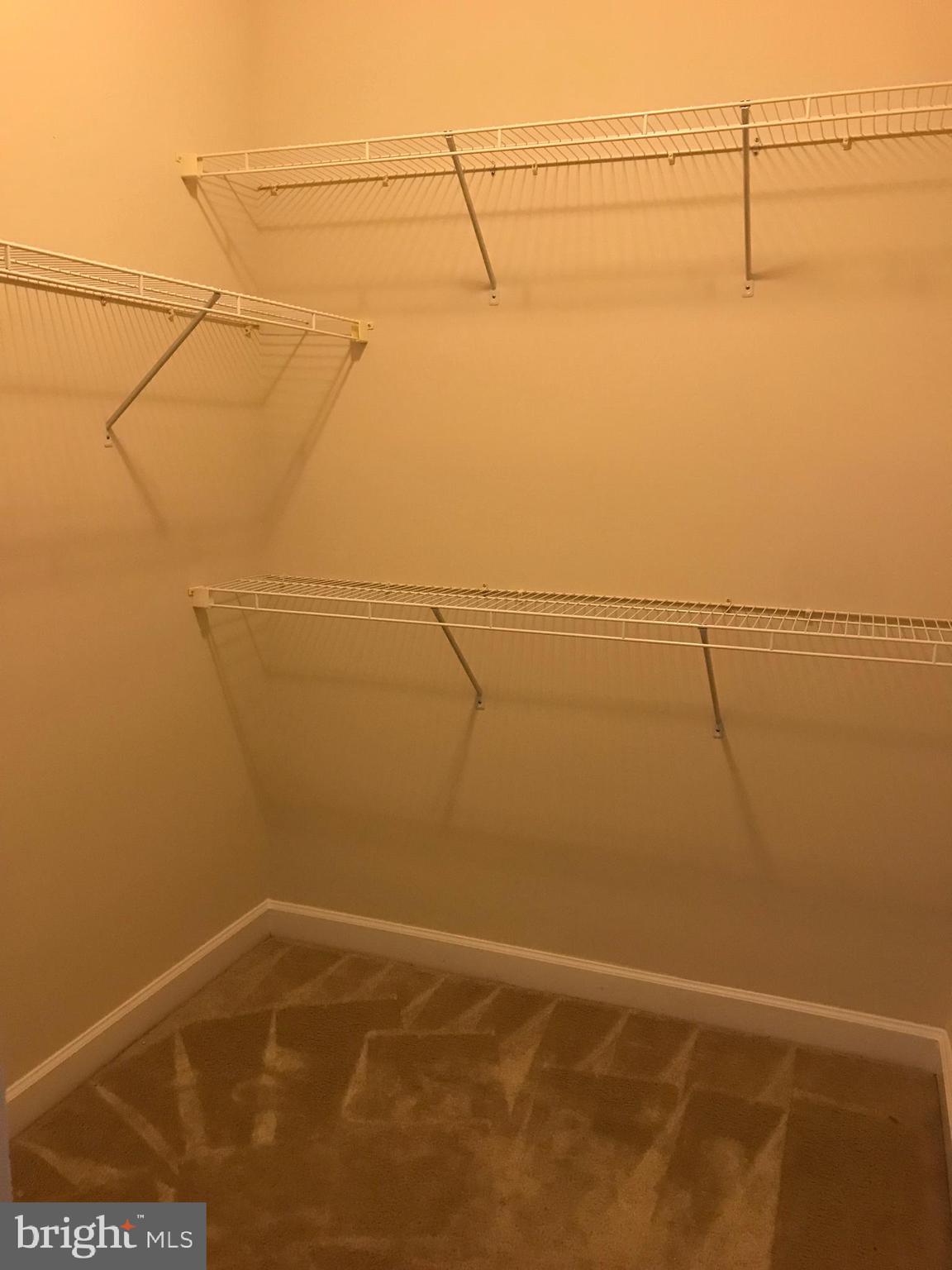 MAPLE LAWN - Residential Lease