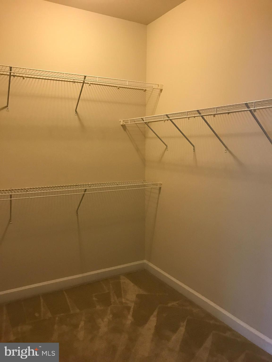 MAPLE LAWN - Residential Lease