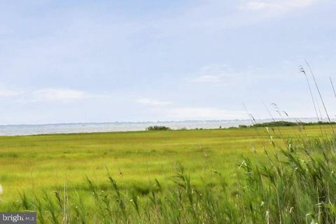 Vacant Land For Sale - LOT 43 Neptune Drive<br/> Accomack County, GREENBACKVILLE, VA 23356