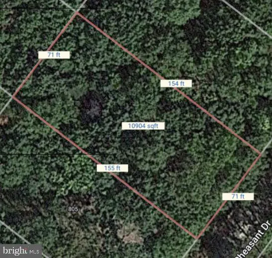 Winchester, Virginia 22602, United States, 3 Bedrooms Bedrooms, ,2 BathroomsBathrooms,Residential,Coming Soon,95118