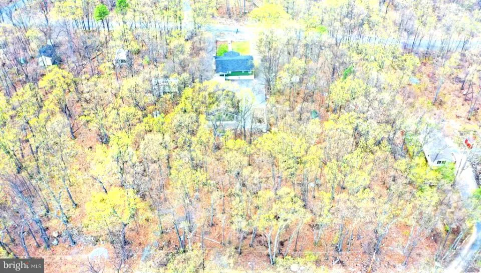 Winchester, Virginia 22602, United States, 3 Bedrooms Bedrooms, ,2 BathroomsBathrooms,Residential,Coming Soon,95118