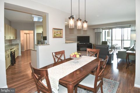 3100 N LEISURE WORLD BOULEVARD 811 SILVER SPRING MD 20906