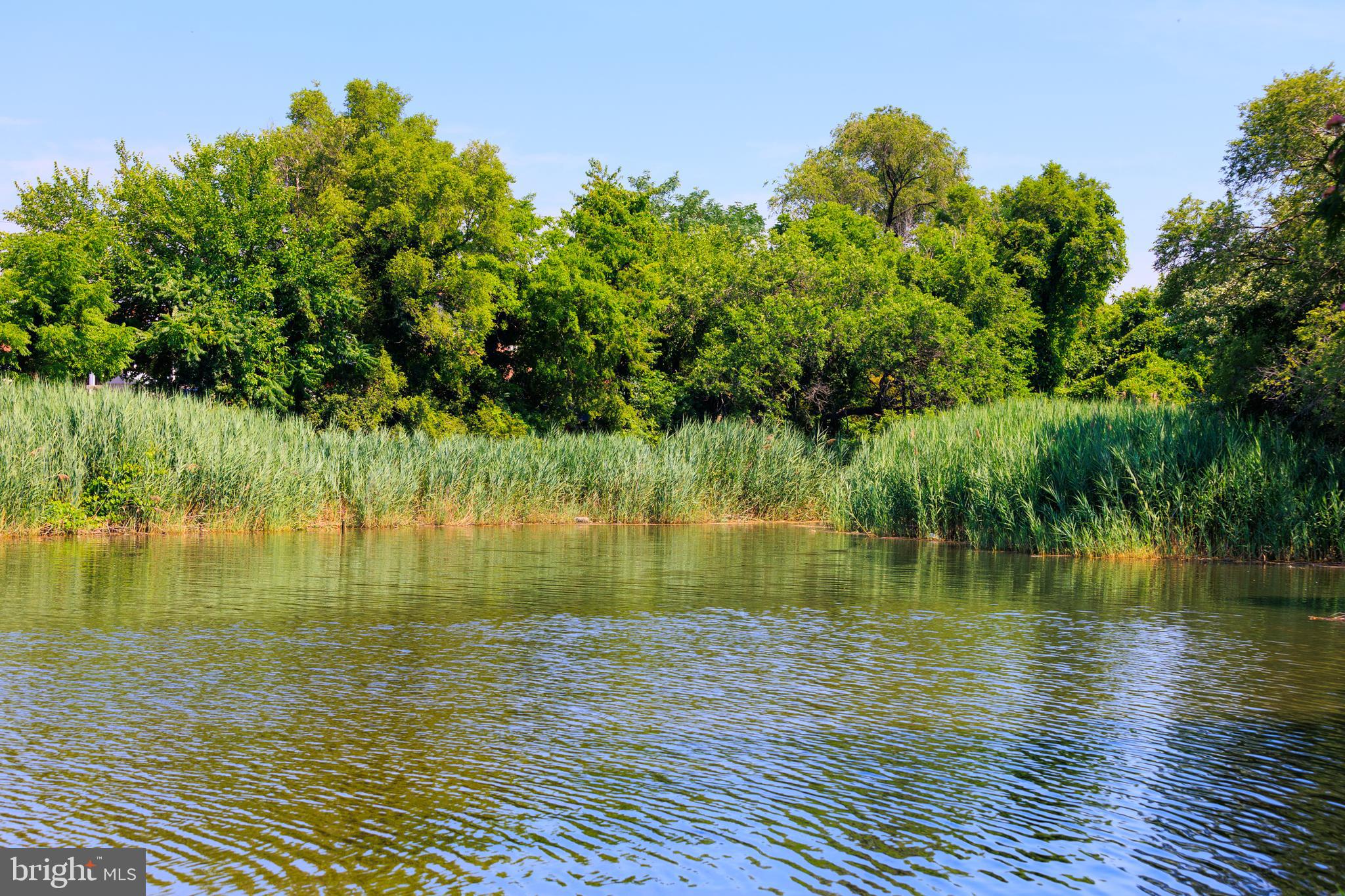 DUNDALK - Residential