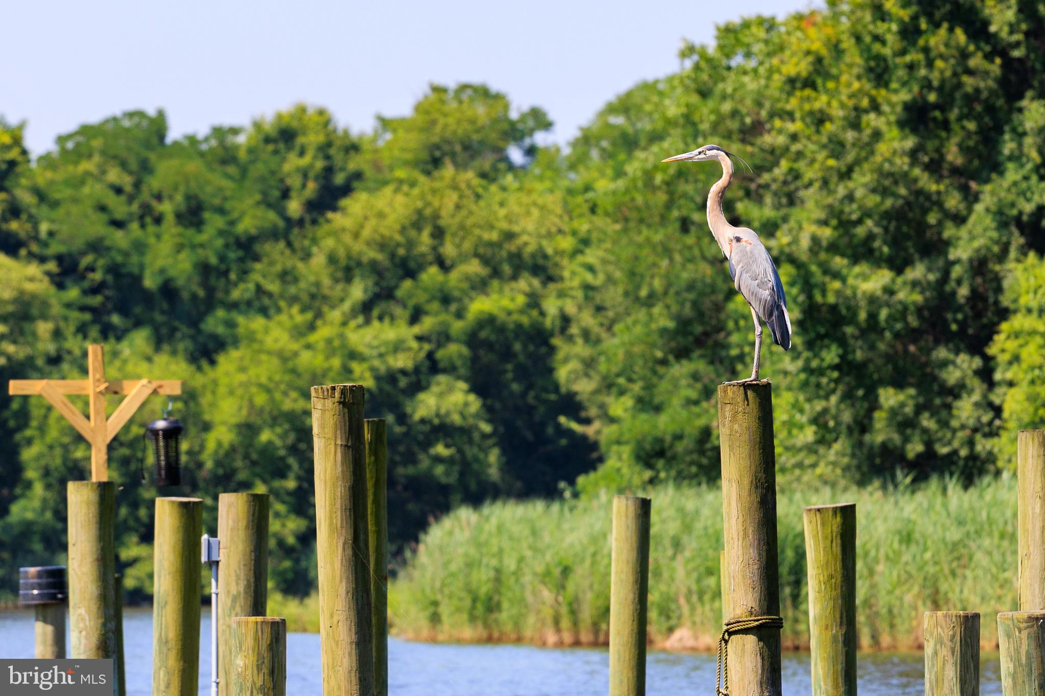 DUNDALK - Residential