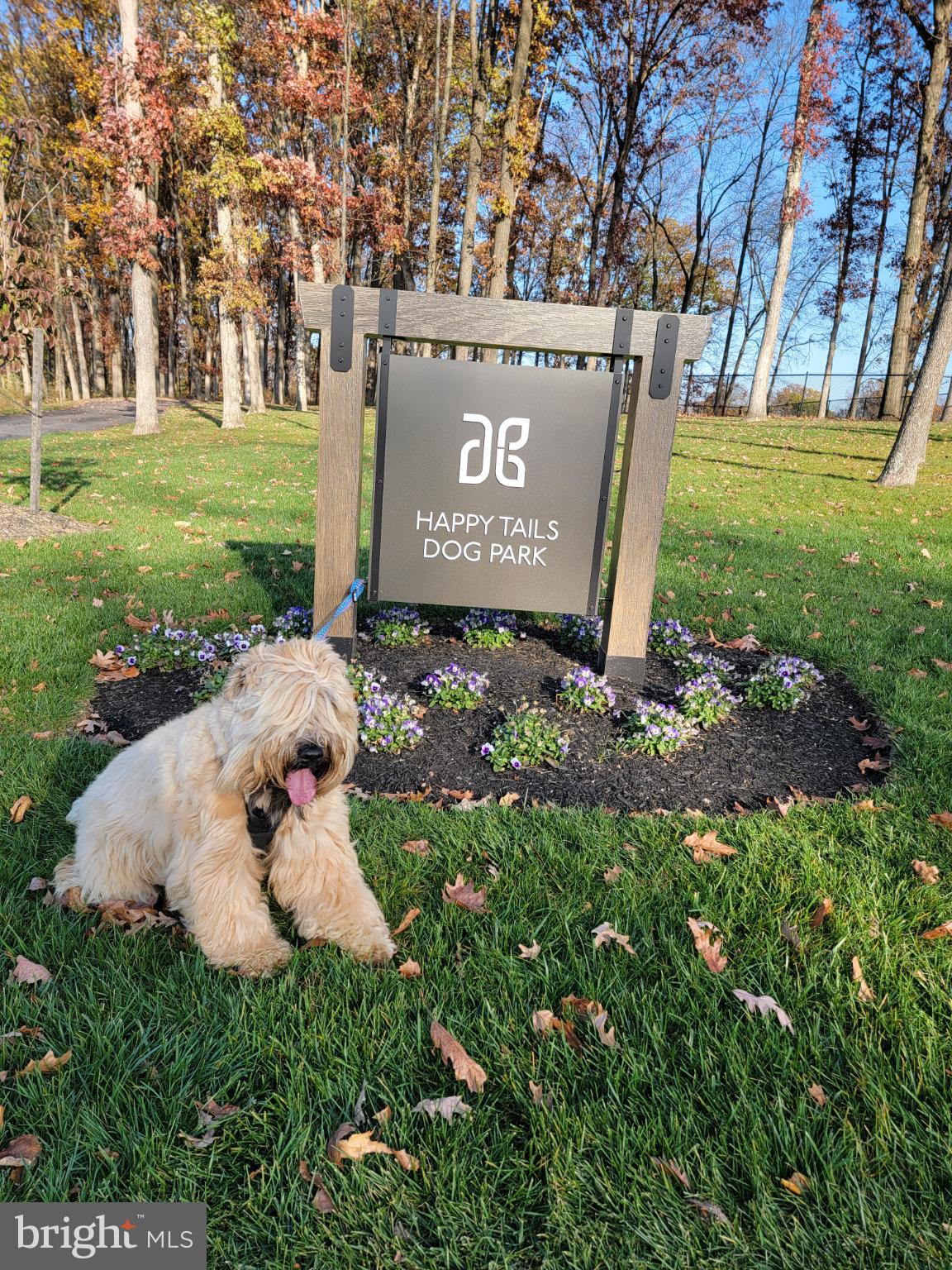 AMBLEBROOK - Residential