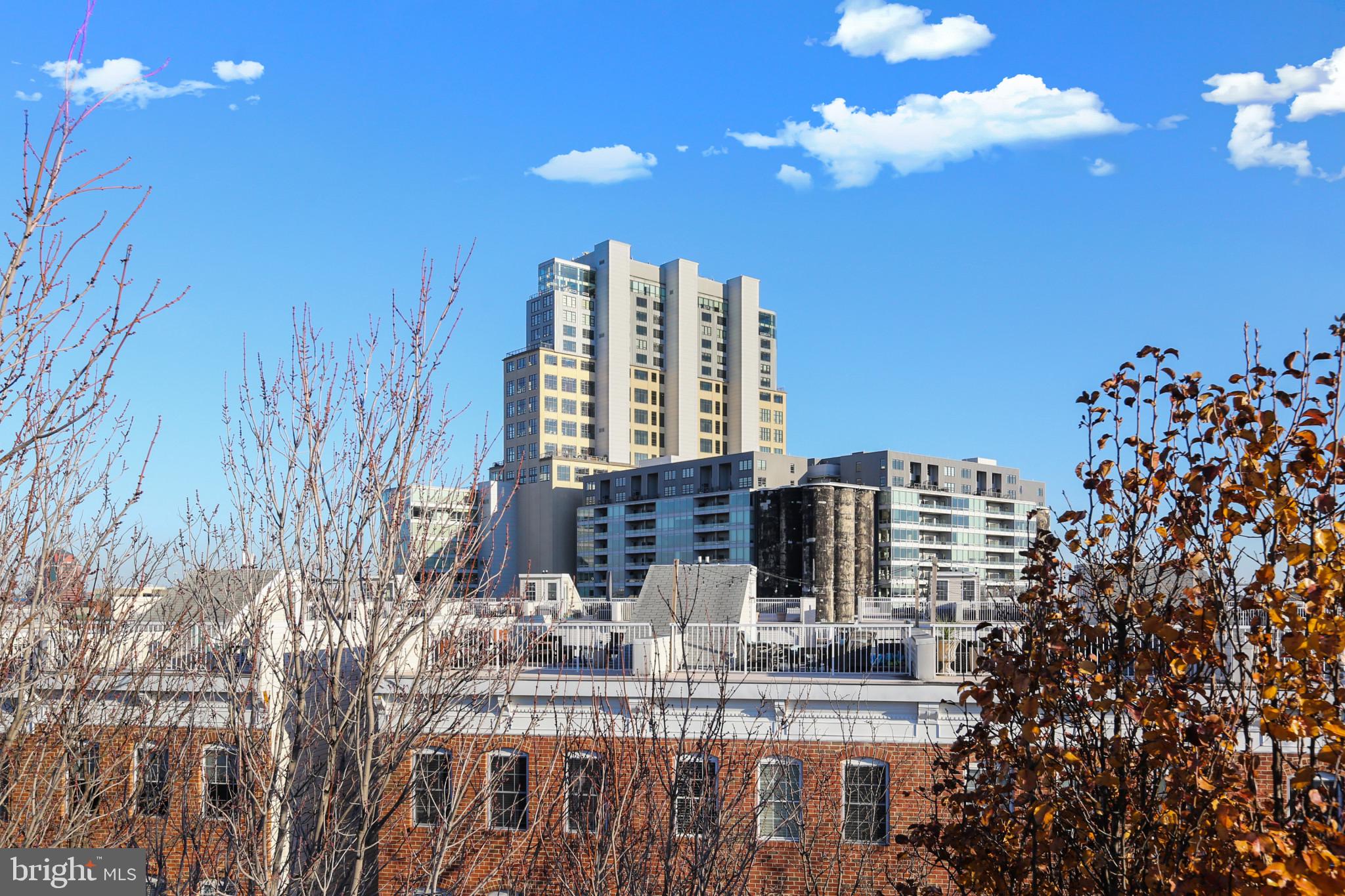 LOCUST POINT - Residential