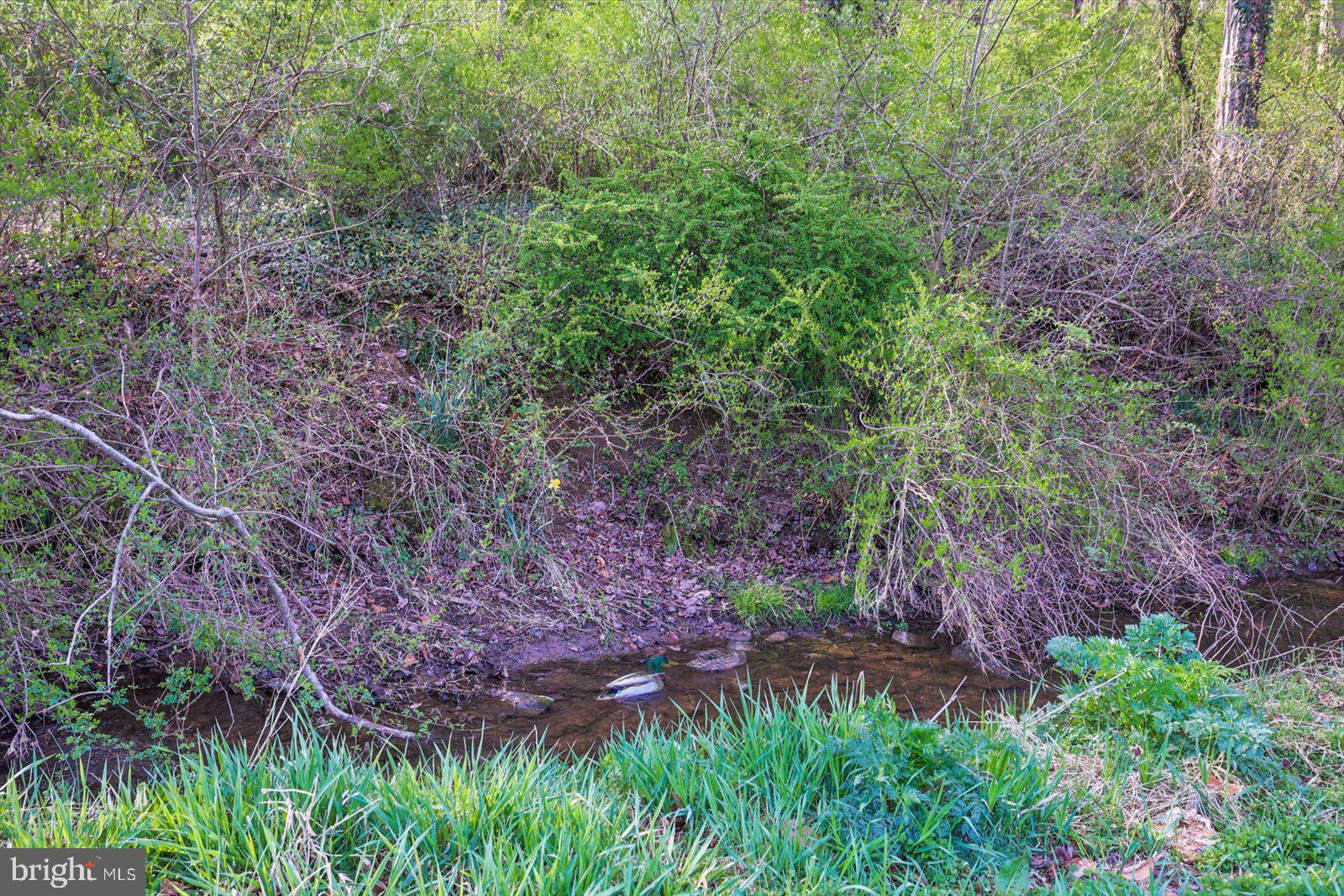 YORK TWP - Residential