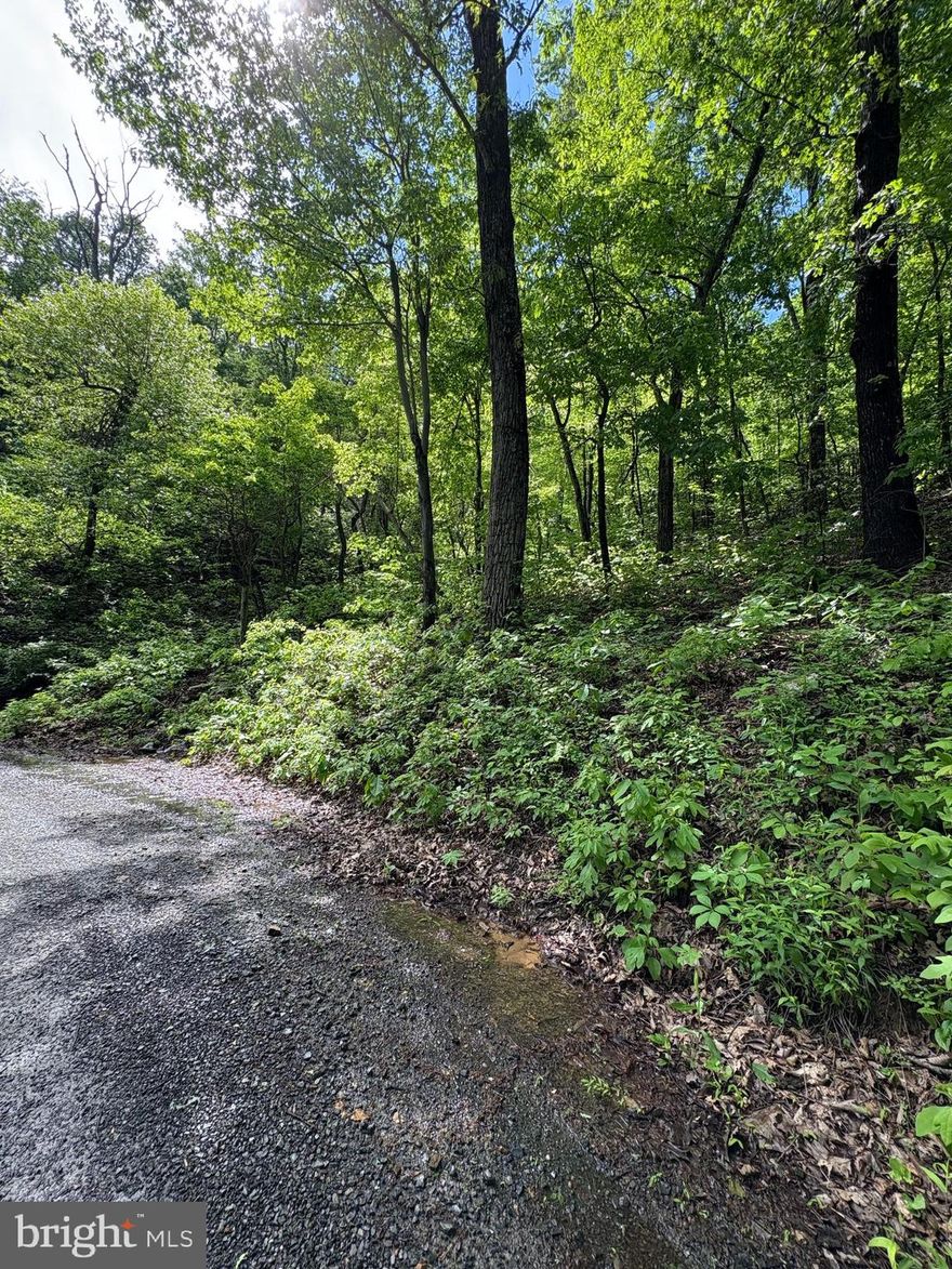 Potential Building Lot 151 Tomahawk Trail .52 acres.  Breath taking Mountain Views coming & going.  Quiet rural area still close to Hospital, Schools & Shopping. Enjoy the amenities, Fishing Lake & Ponds & streams. Recreational Park / Picnic area, golf pads, Playground, Beach Area &  Road Maintenance
