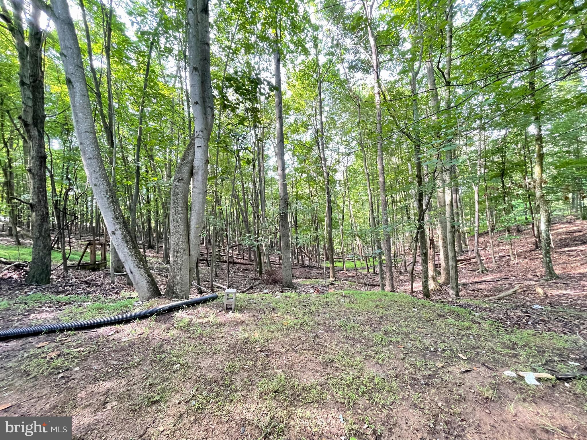 OAK FOREST SUBDIVISION - Residential