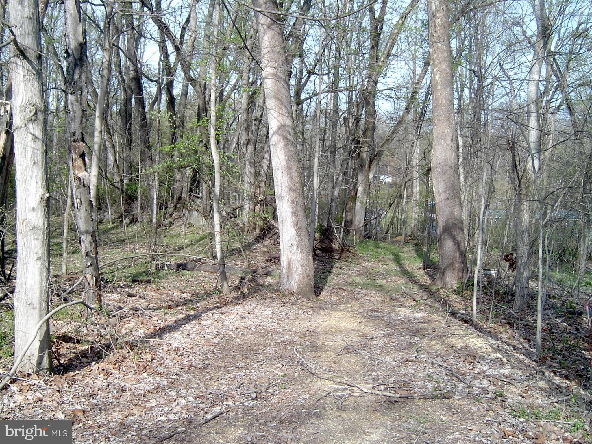 POTOMAC HILLS - Land