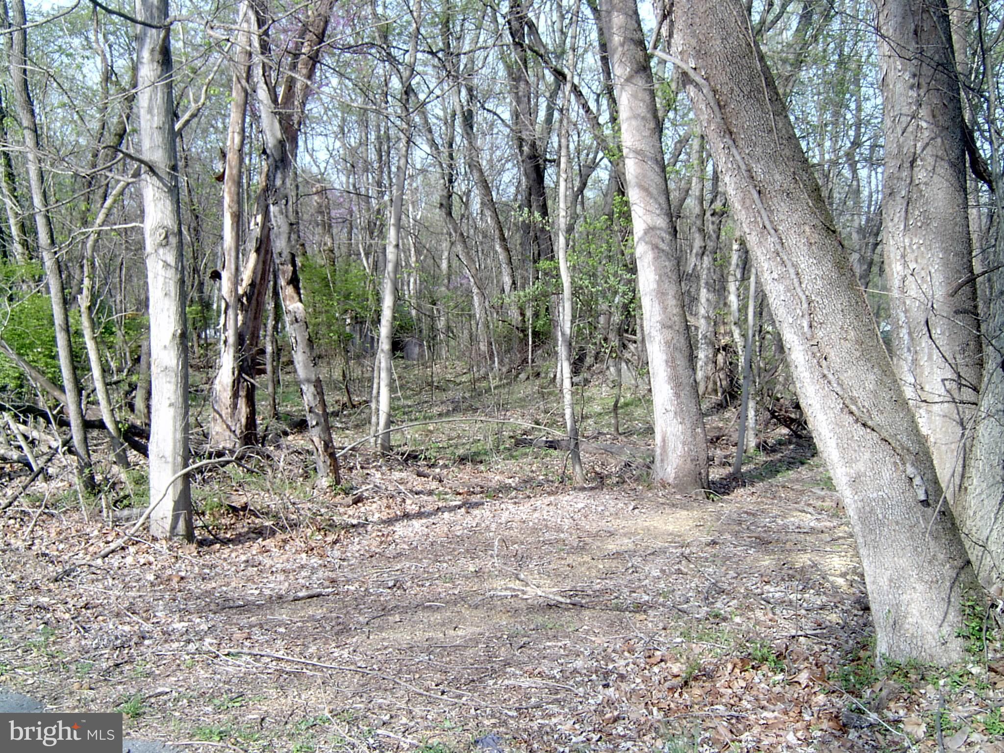 POTOMAC HILLS - Land