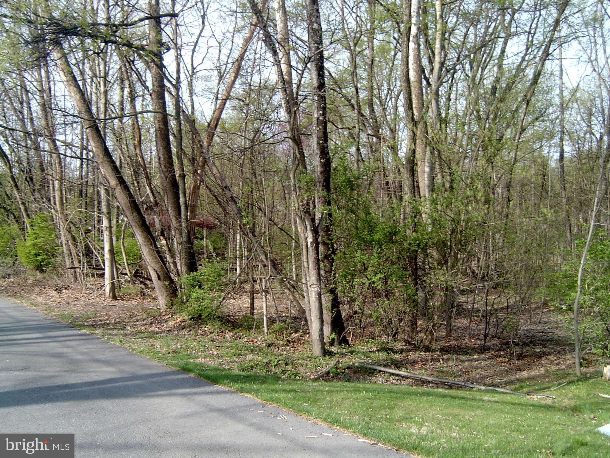 POTOMAC HILLS - Land