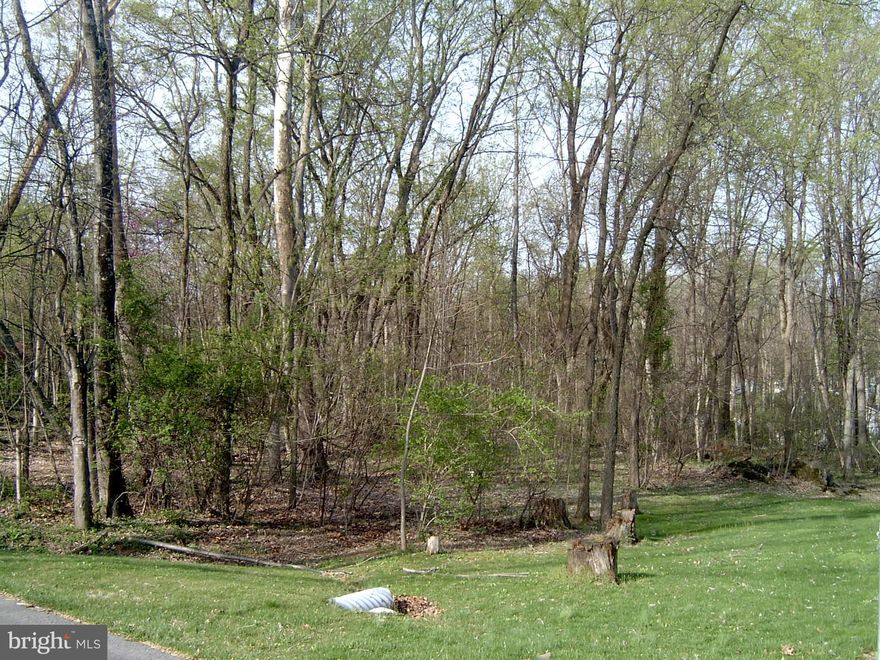 Build your dream home on this mostly level 0.86-acre lot, already perc approved for septic. Enjoy access to the Potomac River just at the end of Saunders Dr—perfect for relaxing, fishing, or boating. The property allows for mobile homes, offering flexibility whether you’re looking to build or place a manufactured home. A great opportunity to own land with water access in a peaceful setting!