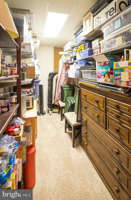 VIRGINIA VILLAGE - Residential