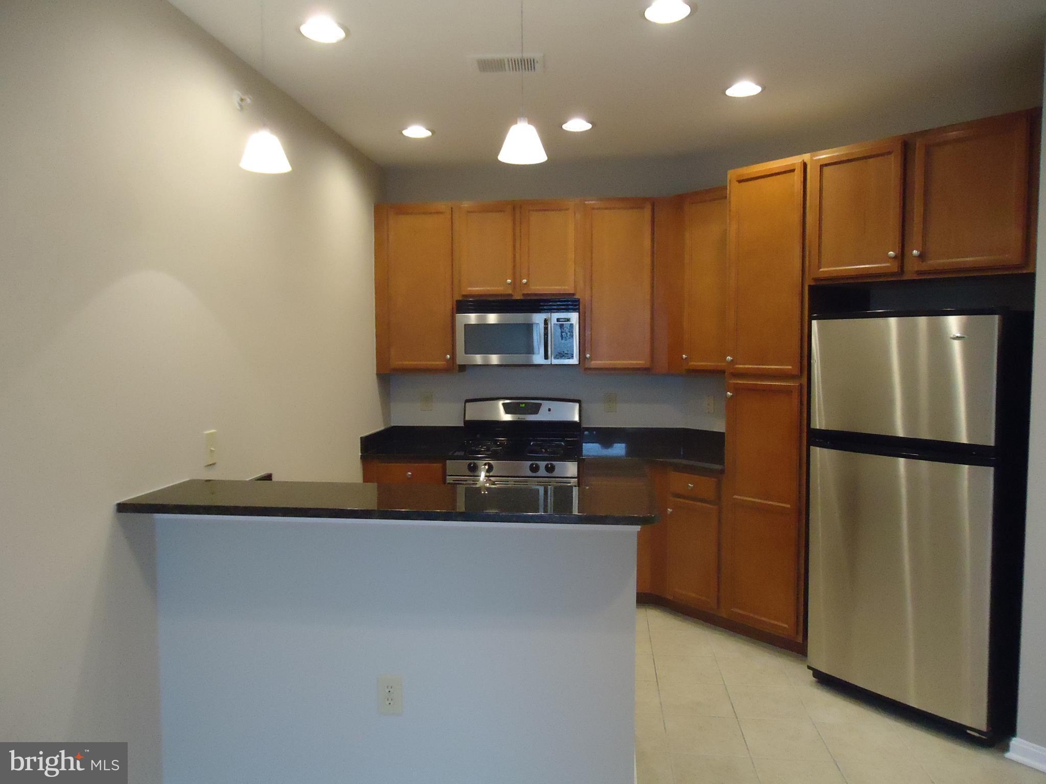 HALSTEAD AT THE METRO - Residential