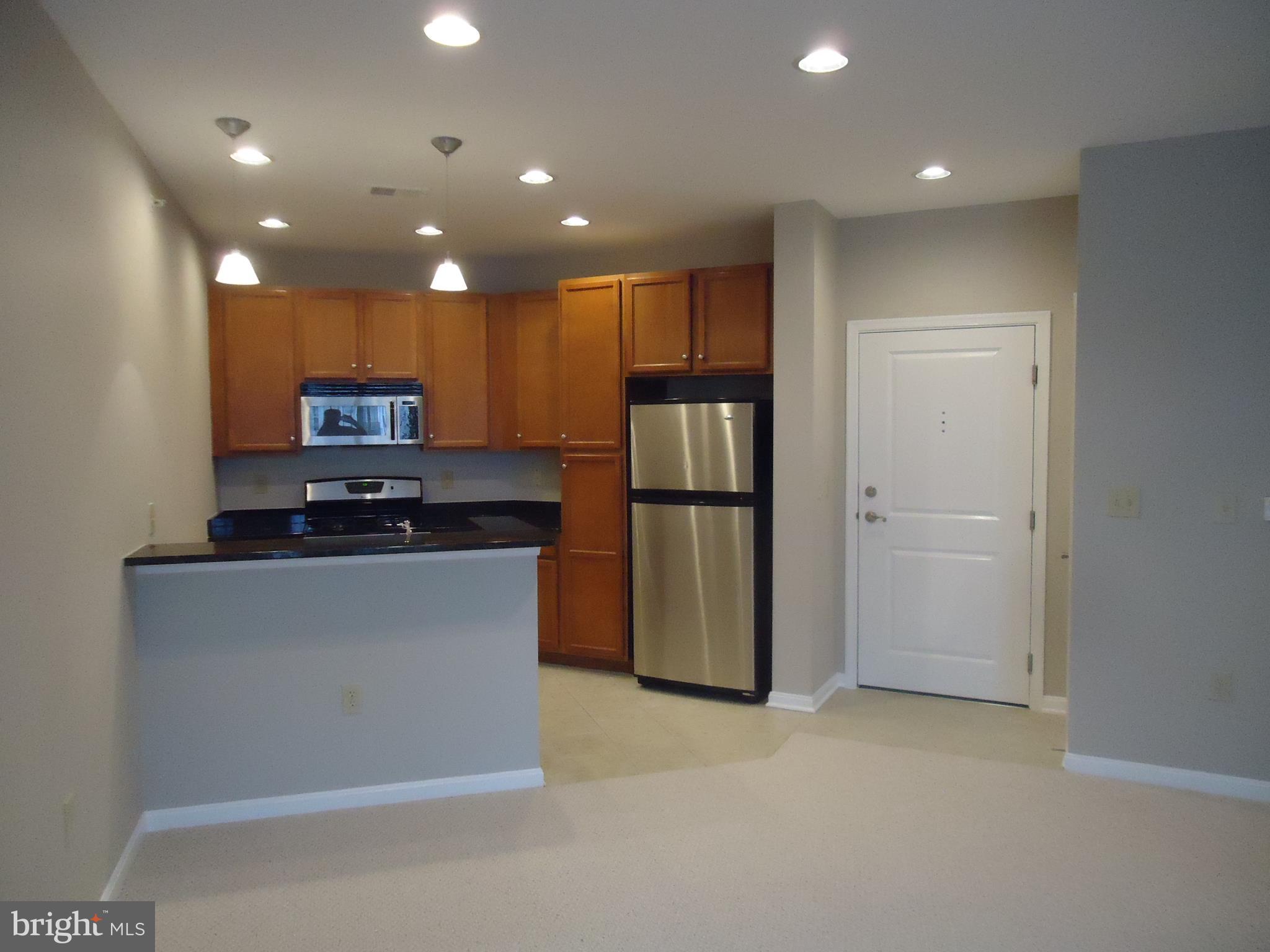 HALSTEAD AT THE METRO - Residential