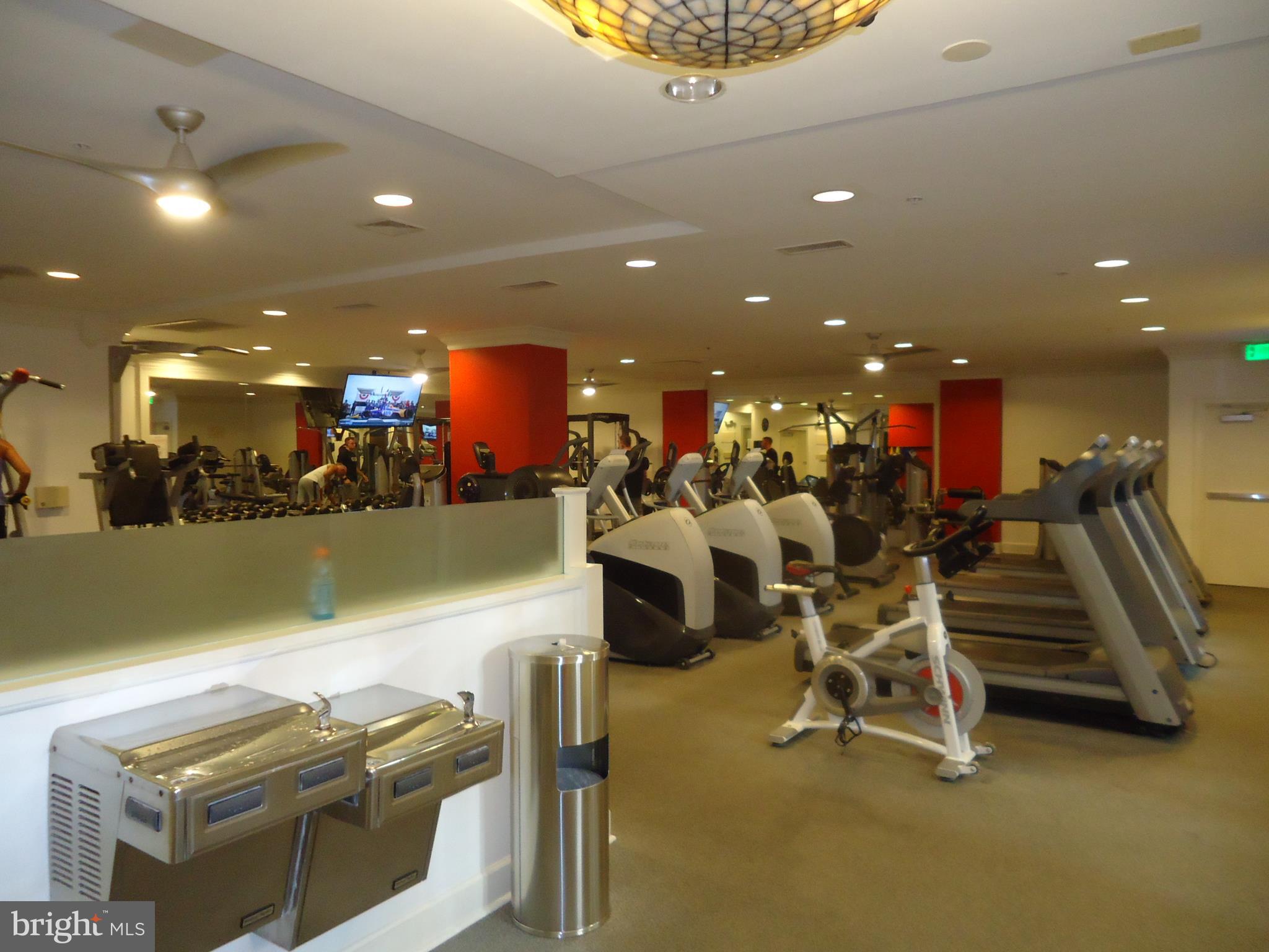 HALSTEAD AT THE METRO - Residential