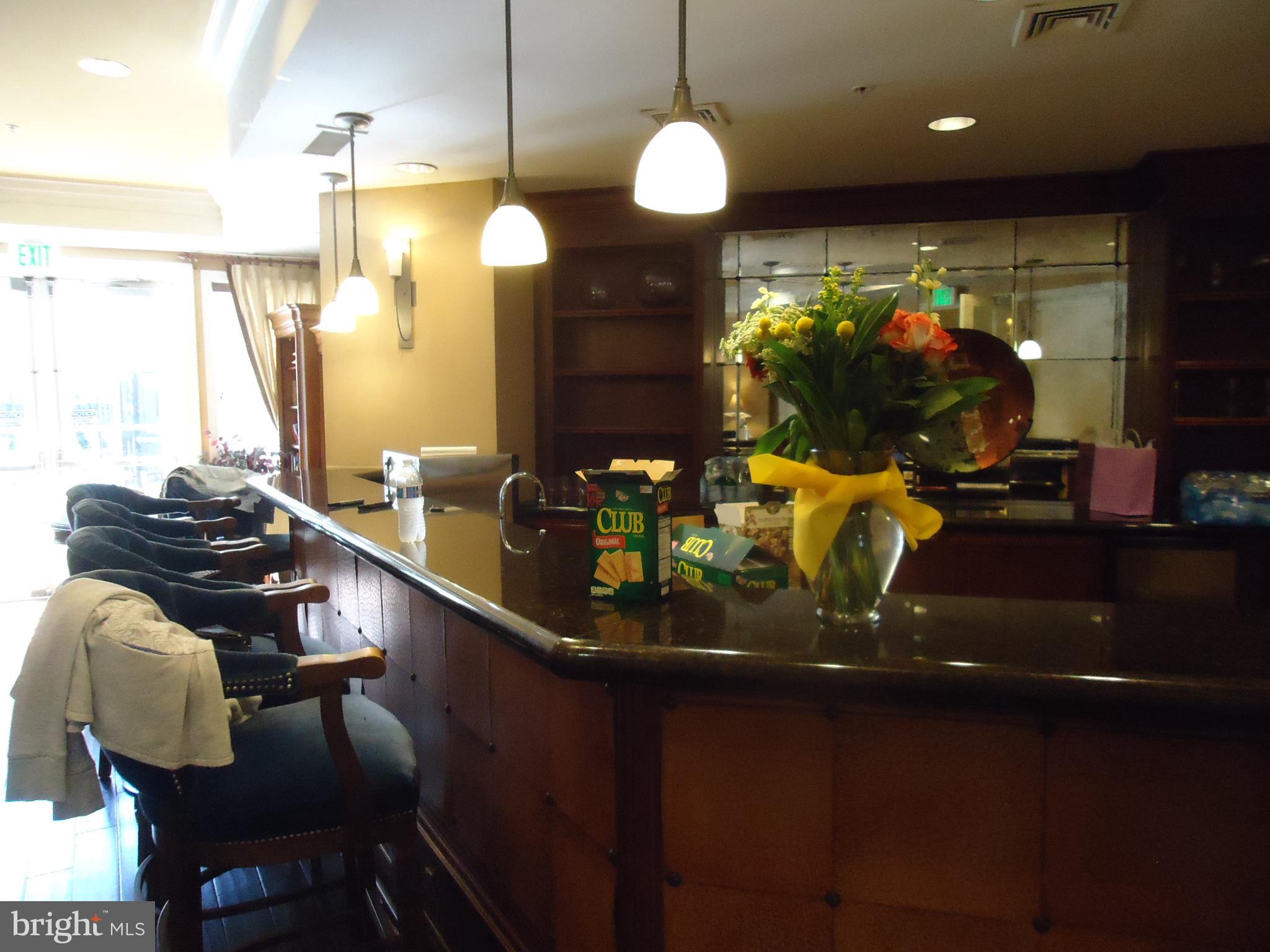 HALSTEAD AT THE METRO - Residential