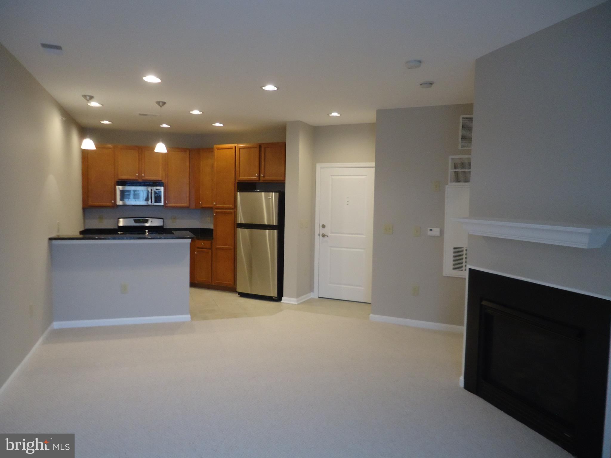 HALSTEAD AT THE METRO - Residential