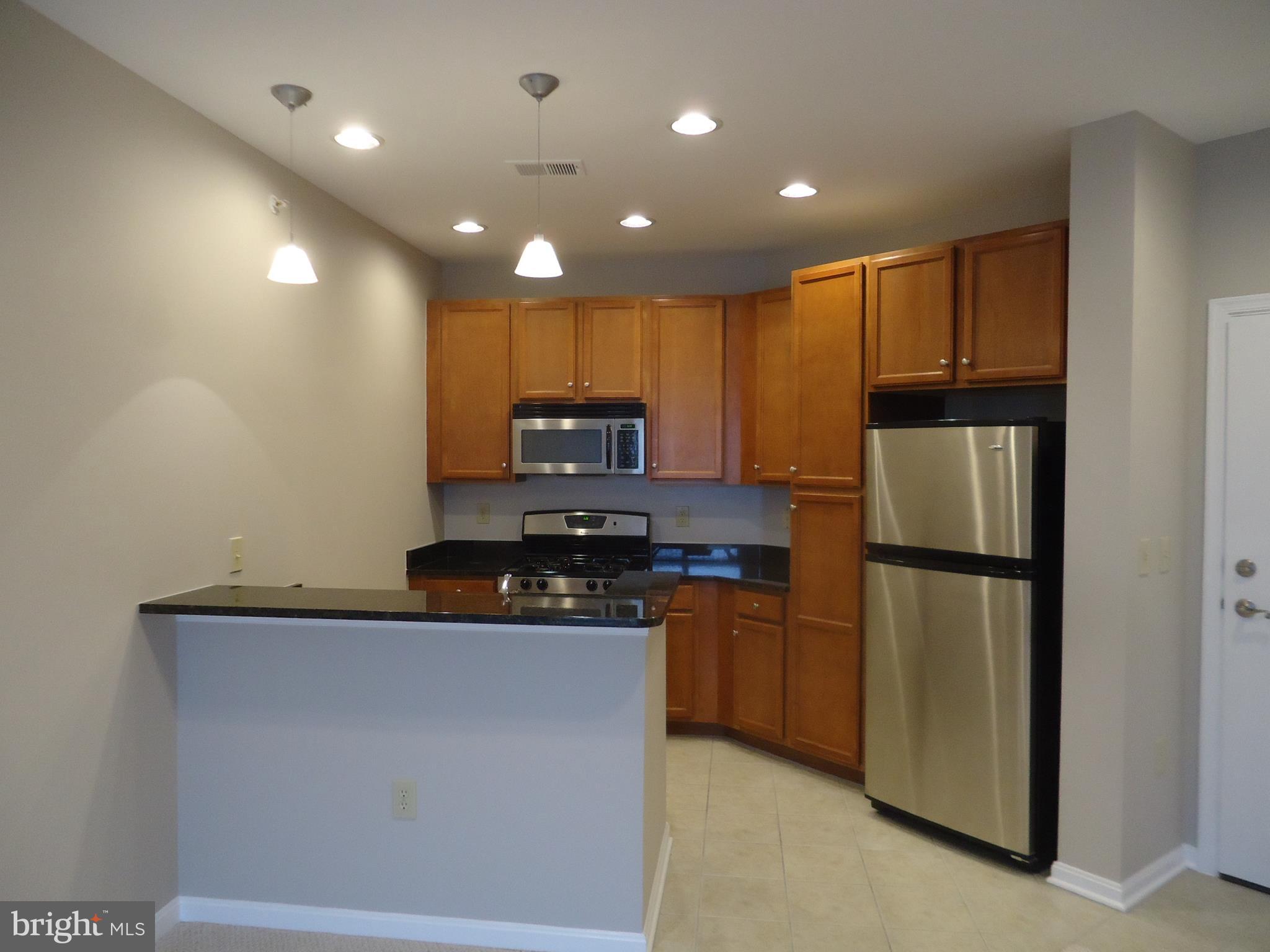 HALSTEAD AT THE METRO - Residential