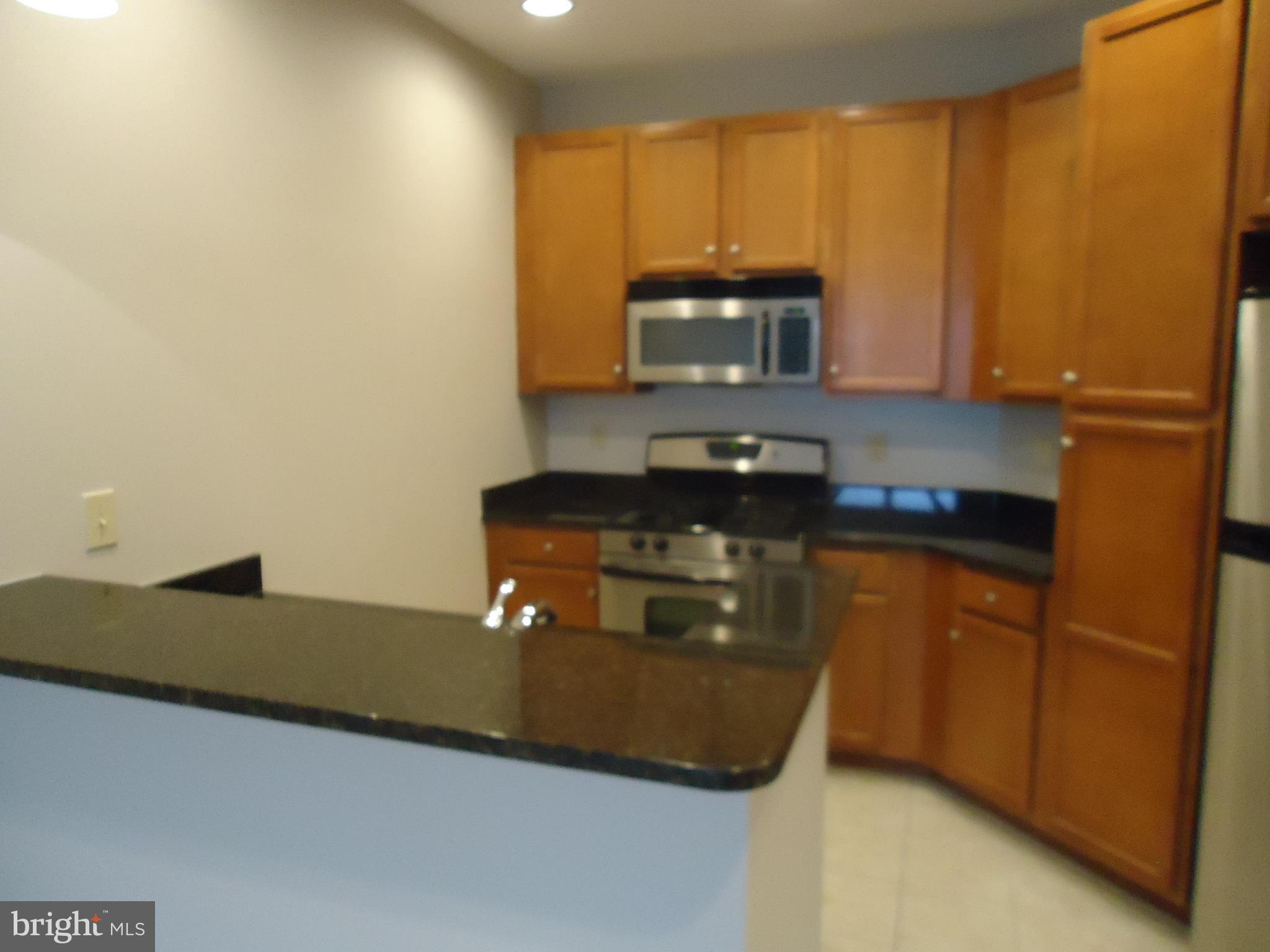 HALSTEAD AT THE METRO - Residential