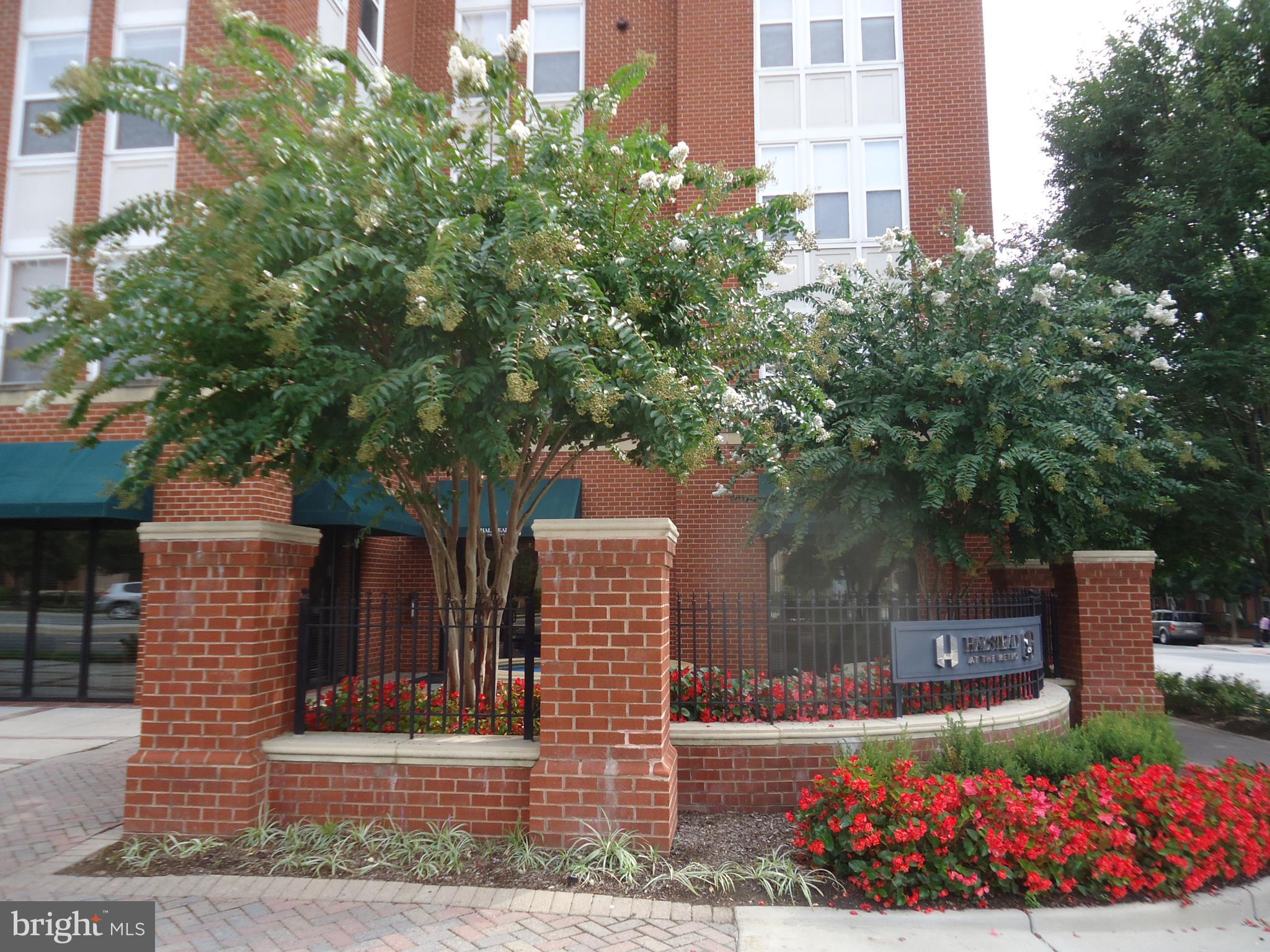 HALSTEAD AT THE METRO - Residential