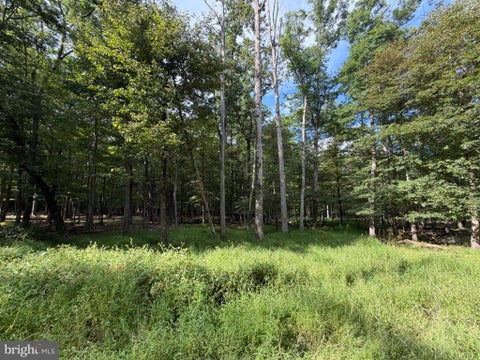 Photo for 507-508 HAYSTACK DR