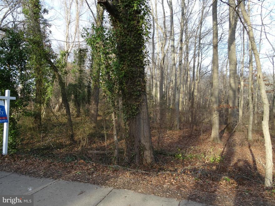 1.14+/- acres of raw land in sought after Fort Hunt area. All of property is located in flood plain or RPA. Tax Map ID 11110308B4. No actual street address, but street frontage on Camden. Purchaser must contact County to determine whether this is a buildable lot and permitted uses. Seller makes no representations or warranties.