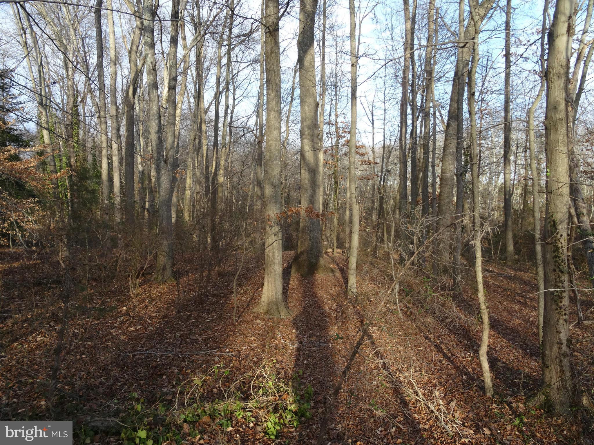 STRATFORD LANDING - Land