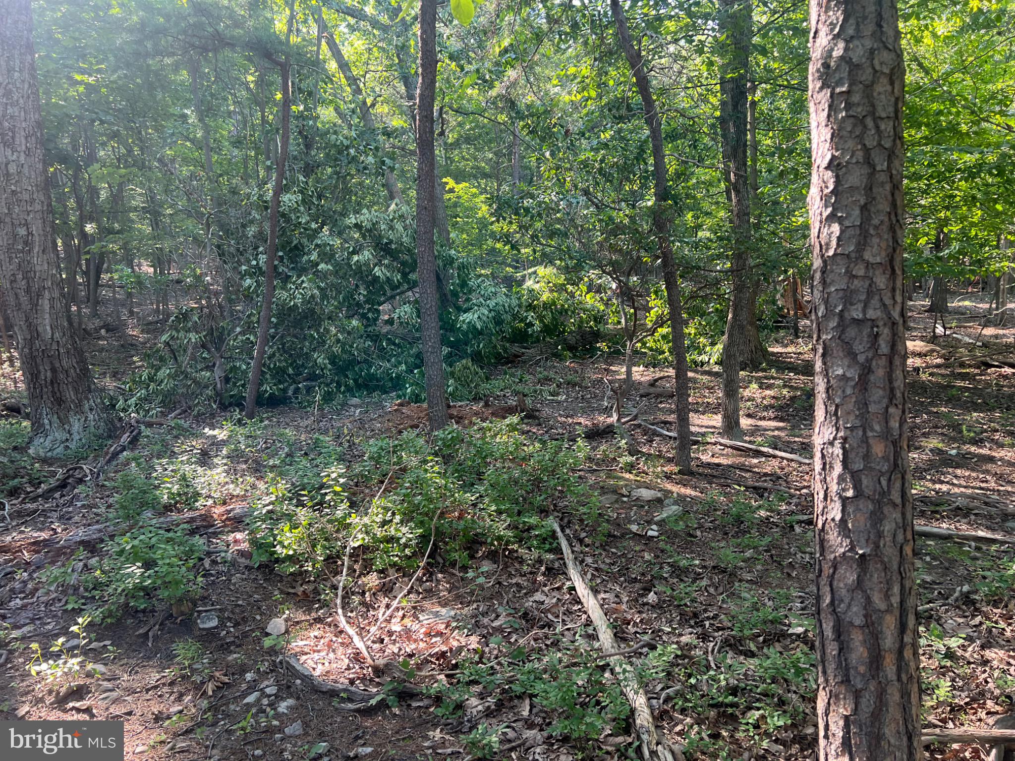 BULL RUN MOUNTAIN ESTATE - Land