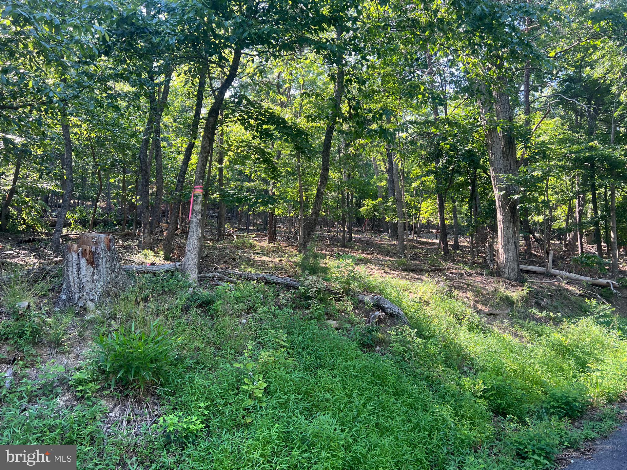 BULL RUN MOUNTAIN ESTATE - Land