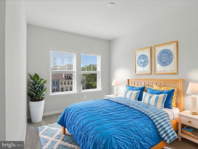 RESERVE AT DAMASCUS - Residential