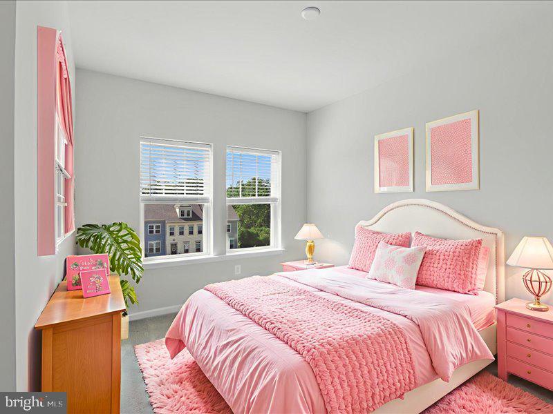 RESERVE AT DAMASCUS - Residential