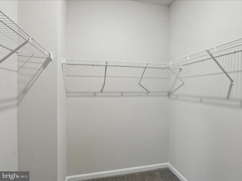 RESERVE AT DAMASCUS - Residential