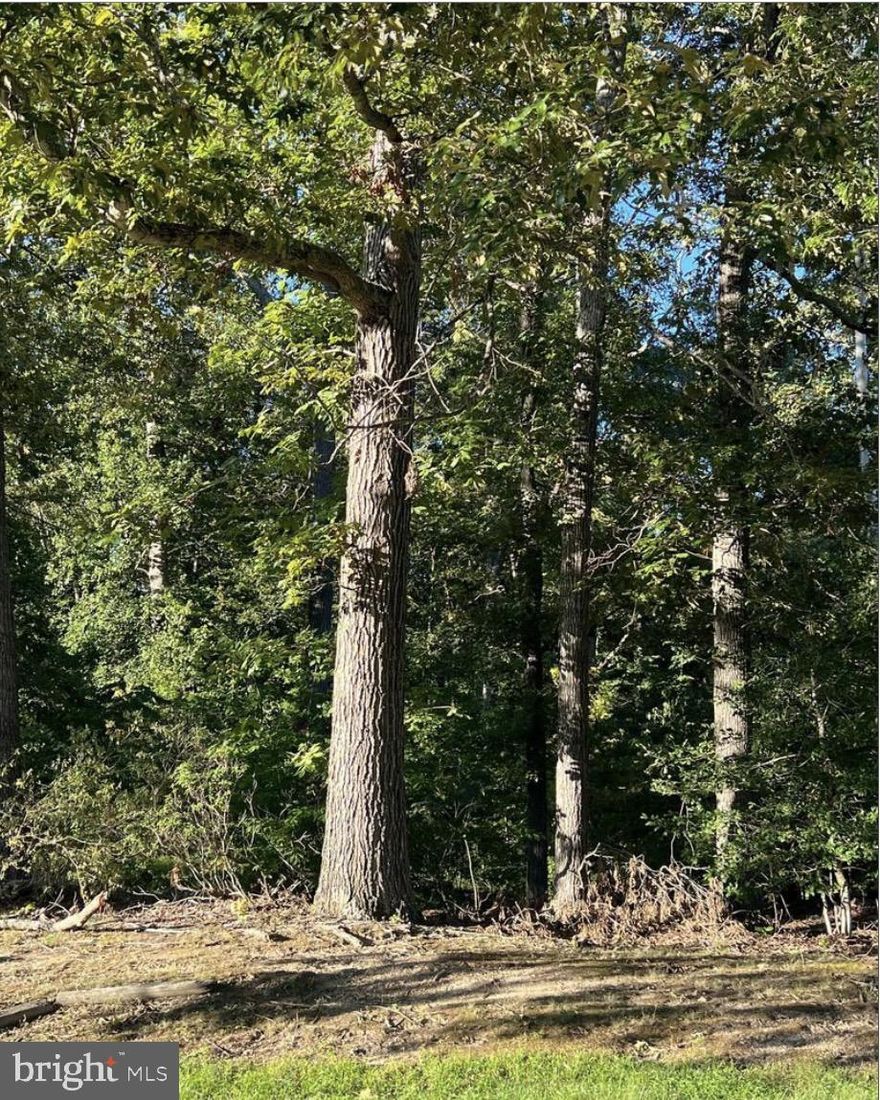 This large parcel of property in an established neighborhood can be just what you've been looking for.  The lot had a prior perc but health department stated that it would have to be reperc'd.  Maybe 1 home, 2 homes, or maybe 3.....Check with local zoning officials for actual allowable use.