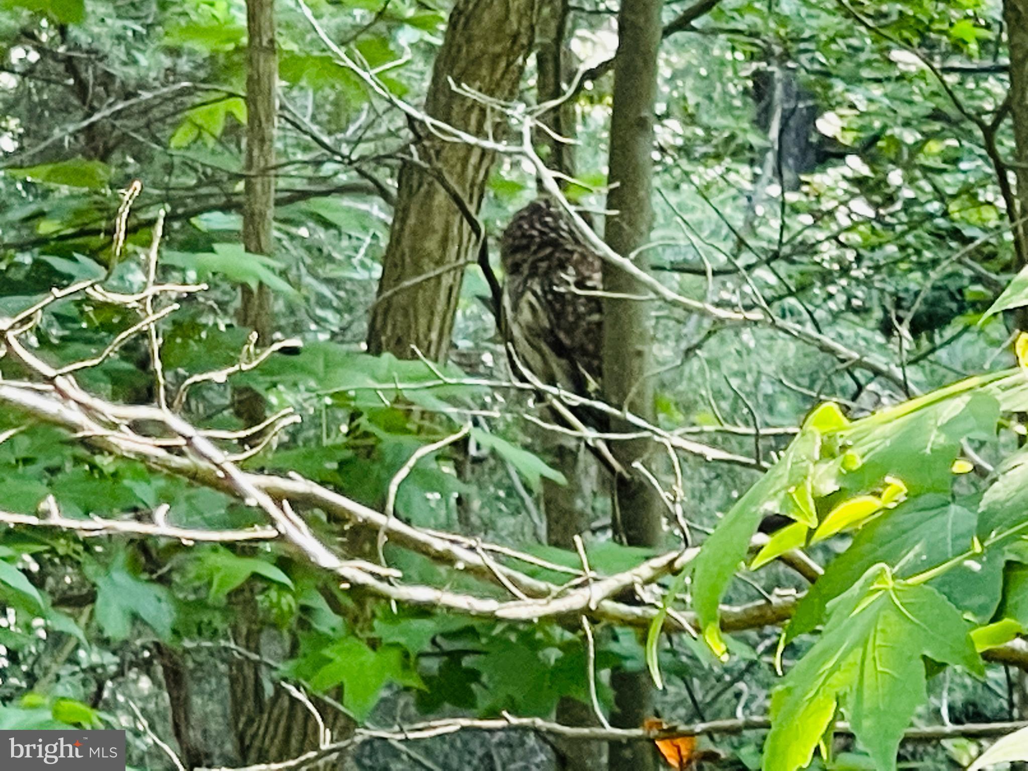 INDEPENDENCE SHORES - Residential Lease