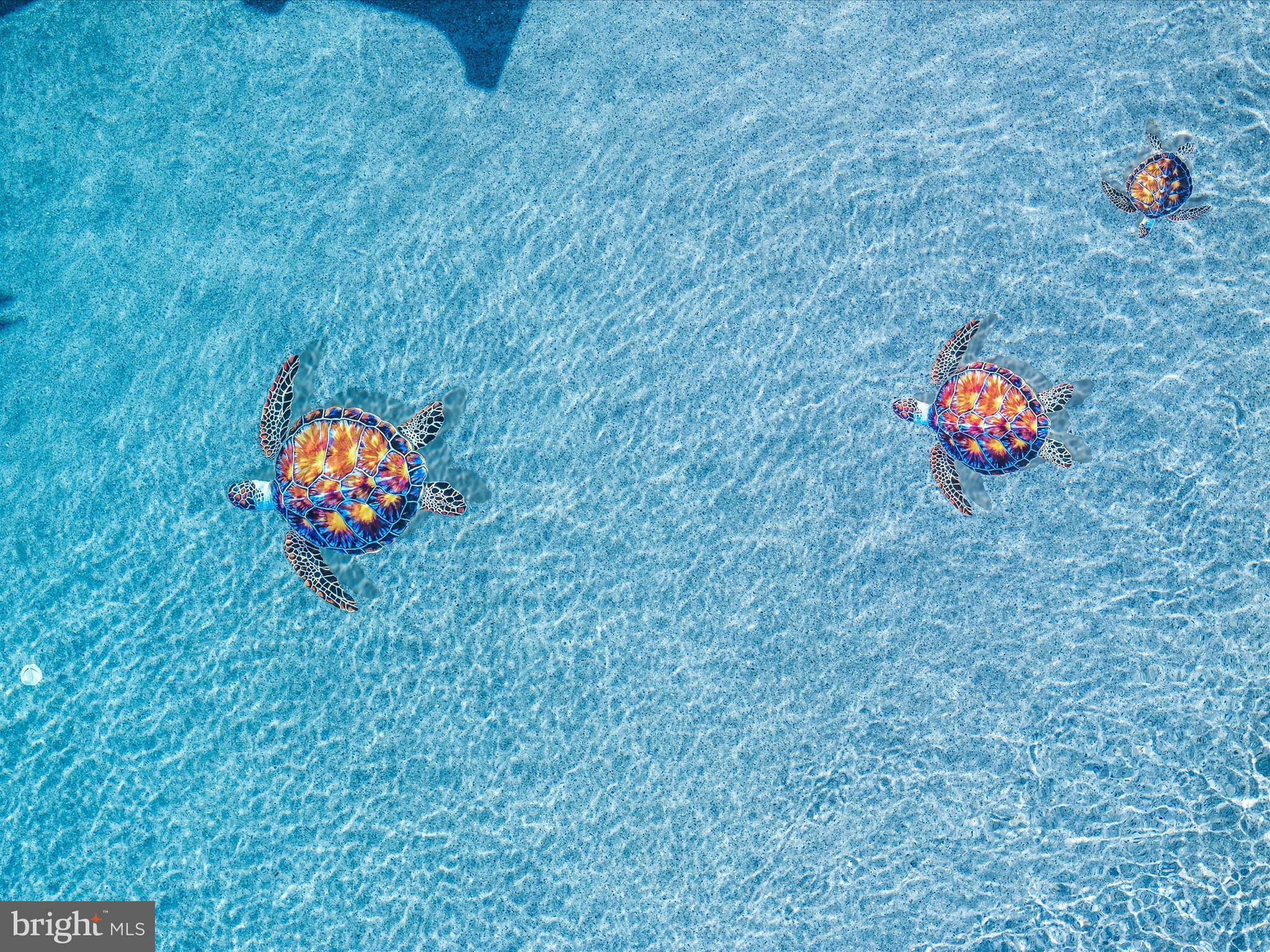 SHREWSBURY - Residential