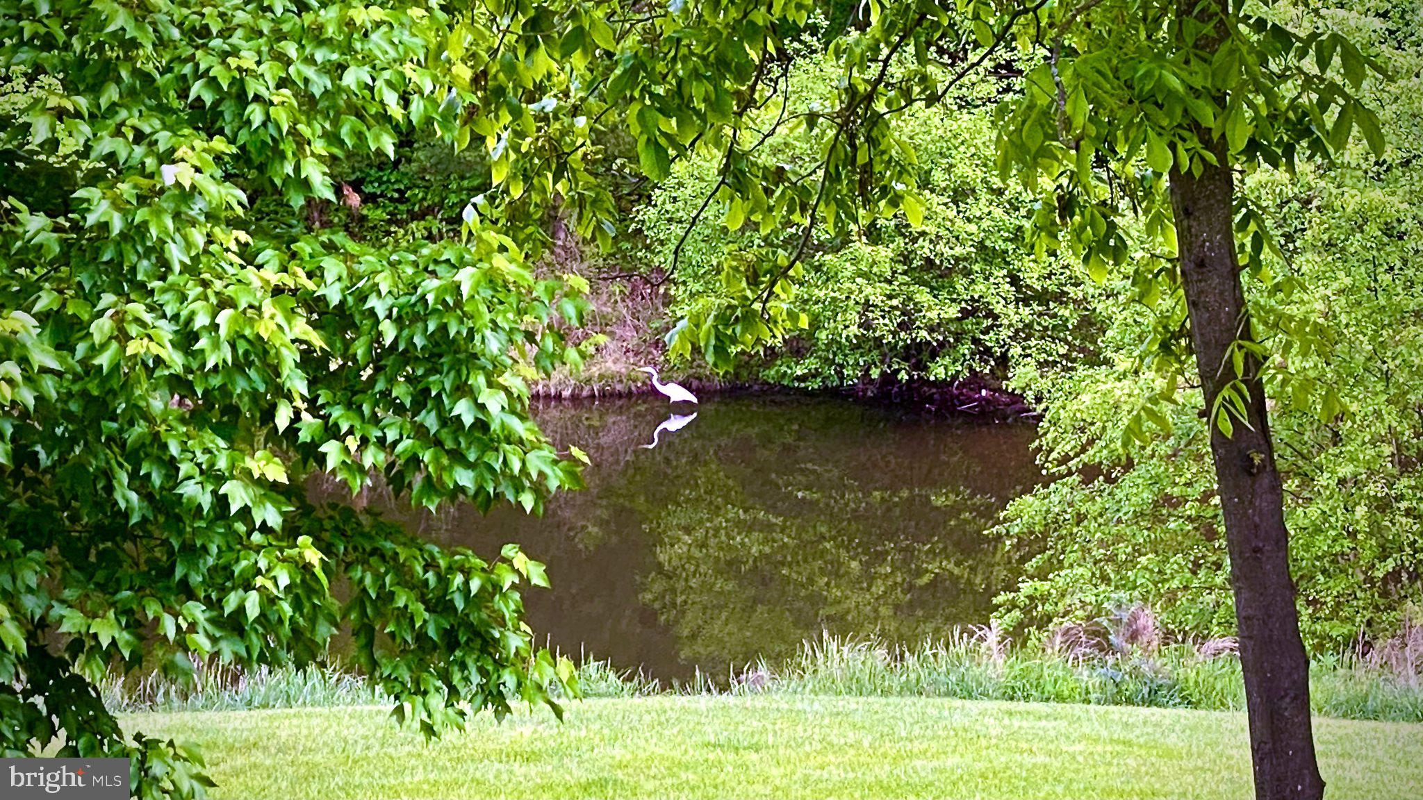 NORTHLAKE - Residential